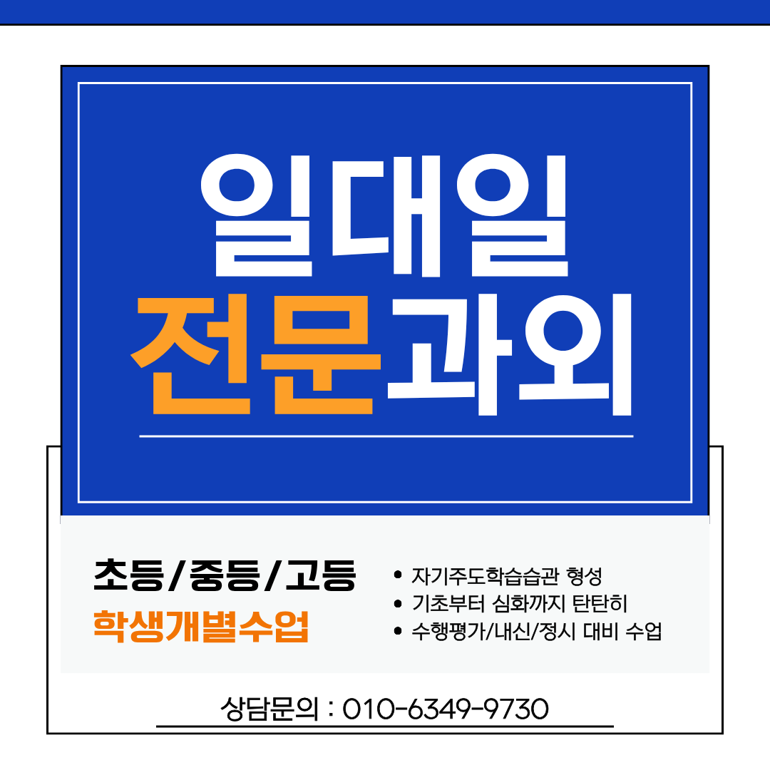 1:1 맞춤 과외 수업 현장