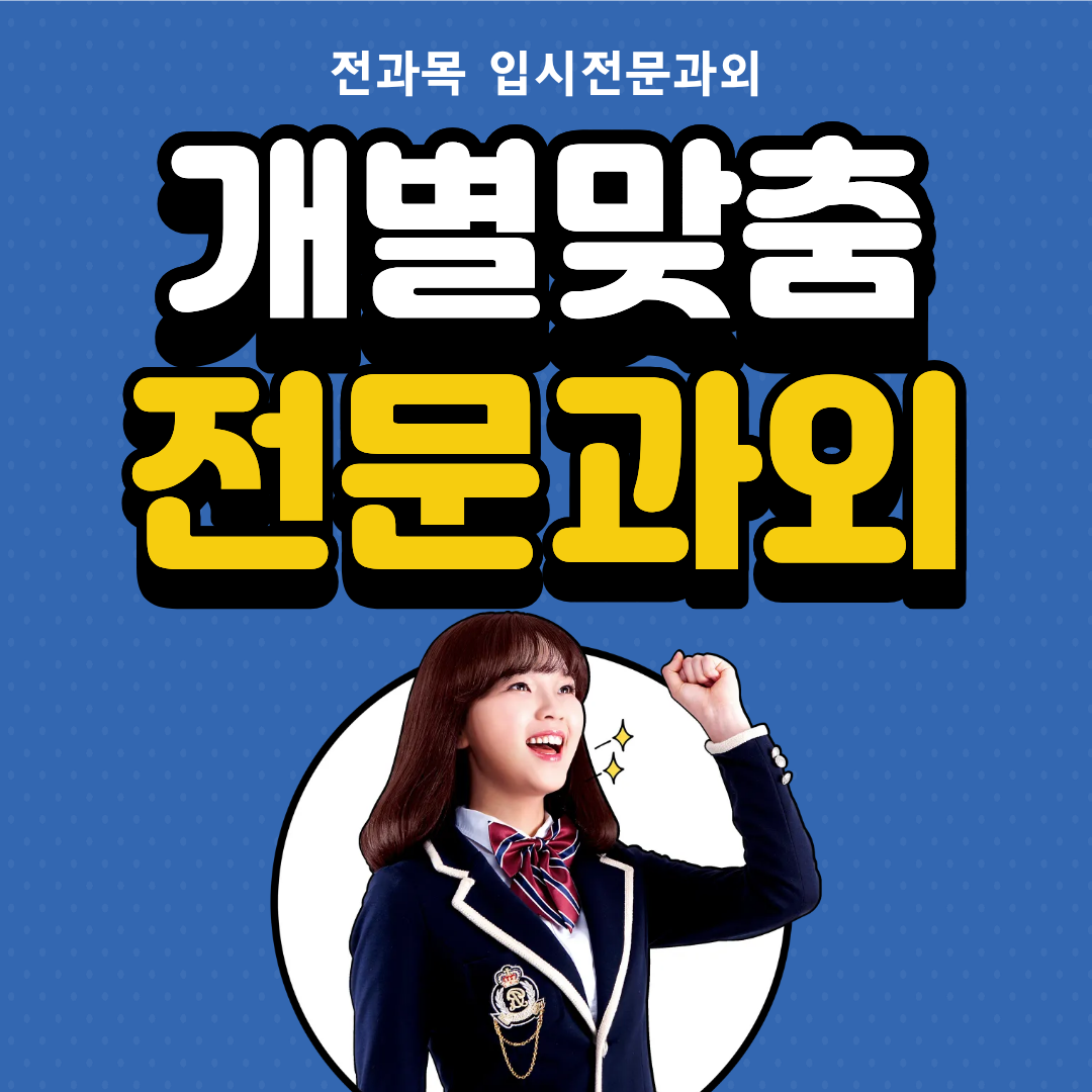 개별맞춤 전문과외 홍보 이미지